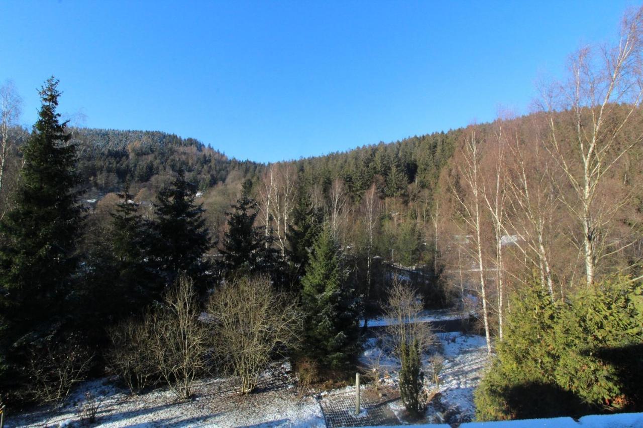 Home-Im-Harz Lautenthal Εξωτερικό φωτογραφία
